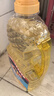多力葵花籽油1.8L小瓶家用压榨零反式脂肪酸食用油  团购送礼 实拍图