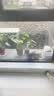 麦富迪奶糕幼猫粮离乳期幼猫猫粮小奶猫猫粮鱼肉味幼猫粮500g 幼猫专用奶糕粮500g*5包 实拍图