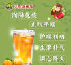 【感冒咳嗽】京都念慈菴 蜜炼川贝枇杷膏75ml 润肺化痰  止咳平喘 伤风咳嗽 护喉利咽  生津补气 实拍图