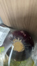 小汤山 紫洋葱 450g 基地直供新鲜蔬菜GAP认证 实拍图
