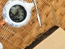 七春安化黑茶赠茶刀2016年金花茯砖茶叶礼盒1kg湖南产中秋教师节礼物 实拍图