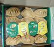 佳沛（zespri）新西兰 阳光金奇异果12粒特大果单果124-146g 猕猴桃水果礼盒 实拍图
