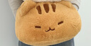 Murcia趴趴猫咪抱枕小猫猫玩偶女生睡觉抱毛绒软公仔生日礼物男女孩 实拍图