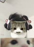 hellokitty粉色抓夹女后脑勺盘发鲨鱼夹2025新款发量多发夹子头饰 粉色KT猫抓夹两个 实拍图