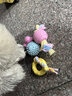 HELLOJOY狗狗玩具球小狗磨牙棒骨头耐咬狗咬胶小型犬宠物用品幼犬自嗨解闷 实拍图