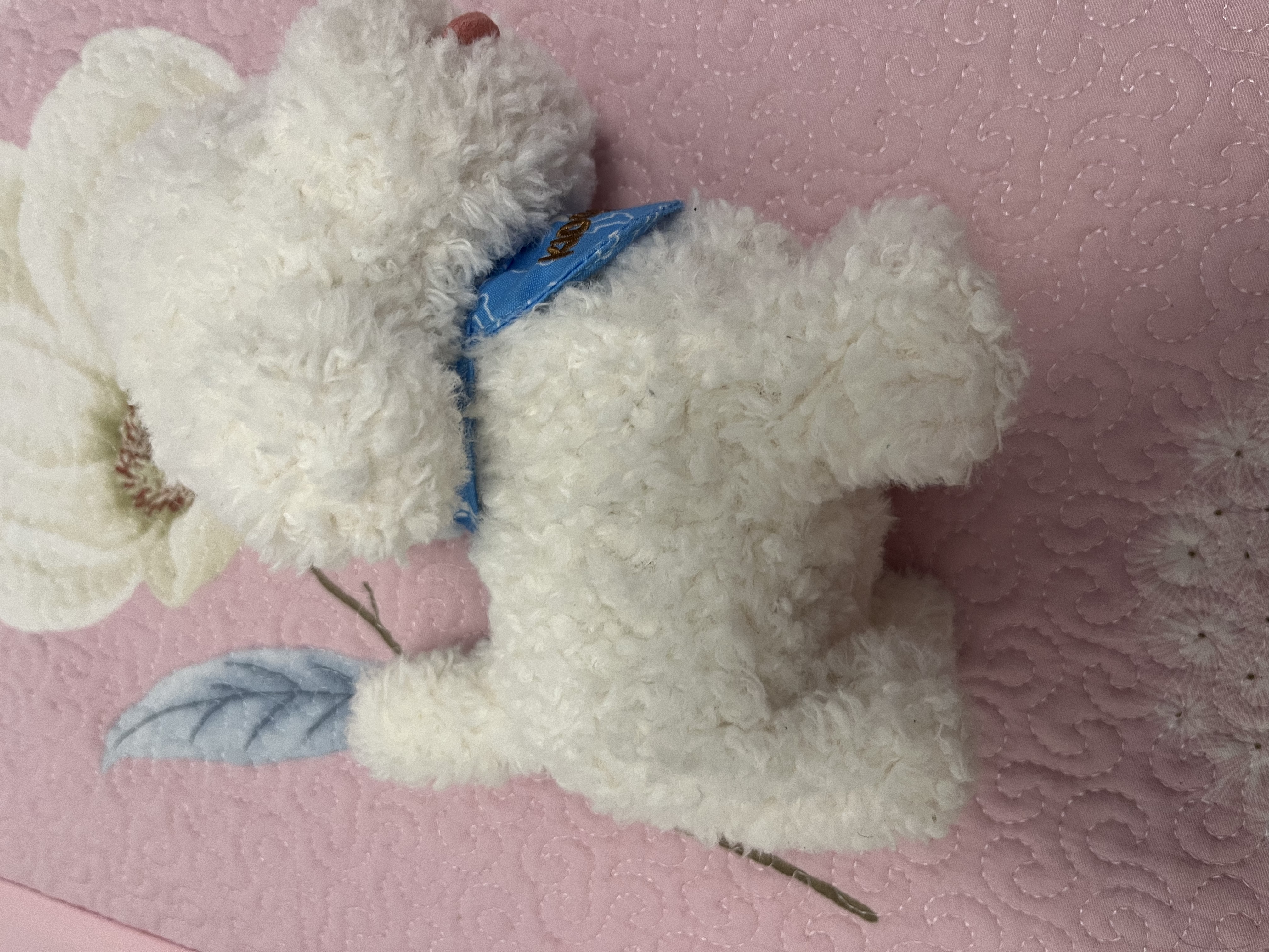 趣巢旺旺家族比熊犬会叫会走路唱歌电动毛绒玩偶仿真小狗儿童玩具 实拍图