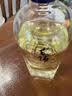 毛铺草本白酒 苦荞酒 黑荞尊享 42.8度 500ml*6瓶 整箱送礼 实拍图
