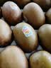佳沛（zespri）新西兰 阳光金奇异果30-33粒原箱单果103-124g 猕猴桃水果礼盒 实拍图