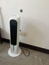 格力（GREE）空调扇家用冷风机冷风扇冷暖两用电暖器卧室客厅负离子冷风扇热风机立式摇头冷暖风扇移动小空调 重磅单品/冷暖两用KS-04X71RDg 实拍图