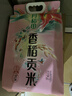 十月稻田 香稻贡米 东北大米 10斤（香米 粳米 5kg/公斤） 实拍图