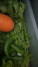 带根香菜100g 实拍图