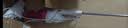 美的（Midea）吸尘器SC861A家用手持立式吸尘器二合一强劲吸力【金榜TOP1】 实拍图