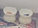 甜浪海猫碗陶瓷猫粮碗狗碗猫食盆猫咪喝水碗高脚斜口防打翻护颈喂食碗 实拍图