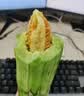 京鲜生 山东羊角蜜甜瓜 净重4.5斤起 单果300g+ 生鲜水果源头直发 实拍图