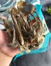 甄菌子松茸羊肚菌汤包80g*4（每包10个羊肚菌） 云南菌菇汤煲汤火锅食材 实拍图