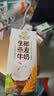 伊利【新鲜日期】谷粒多生椰燕麦牛奶200ml*12盒 礼盒装 实拍图