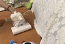 海尔（Haier）白巧除螨仪床宝双杯尘螨分离 家用床上吸尘器除螨虫紫外线杀菌大吸力吸尘HSM-Y201(F) 实拍图