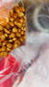 东北哑巴玉米豆原味爆米花炒玉米粒现炒包谷豆苞米花老式休闲零食 原味无添加/口感酥脆不甜 5袋 400克*5袋 实拍图