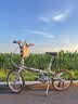 大行（DAHON）D10折叠自行车20英寸10速成人复古风单车HAC003 电镀银  实拍图