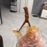 周黑鸭 锁鲜卤鸭舌140g 甜辣味麻辣甜 武汉特产卤味 即食鸭舌 气调盒装 实拍图