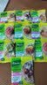 KNORR 家乐牌快熟通心粉香港进口 knorr方便速食多口味非油炸健康食品 80g*10袋5口味各两袋 实拍图