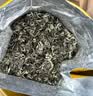 乐品乐茶明前特级碧螺春绿茶2026新茶嫩芽茶叶礼盒装250g自饮伴手礼送长辈 实拍图