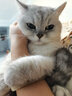 卫仕（NOURSE）猫多维魔方富含猫咪日常所需复合维生素皮肤毛发科学营养补充剂 基础款猫多维200片*3瓶 实拍图