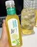 农夫山泉【新口味】东方树叶陈皮白茶500ml*15瓶无糖茶饮料0糖0脂0卡 实拍图