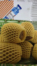 佳沛（zespri）新西兰阳光金奇异果 8个装 特大果单果重约124-146g 水果猕猴桃 实拍图