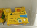 维他奶维他冰爽柠檬味茶饮料250ml*24盒 清凉口感 聚会分享装 实拍图