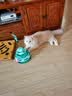 欢宠网猫玩具猫咪转盘逗猫棒羽毛自嗨神器解闷球猫抓板猫猫幼猫小猫宠物 实拍图