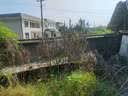 杀鼎专除碍事树大树烂根专用的药死悄无声息强力除树树死特效肥料 8瓶【树越大越好用】 实拍图