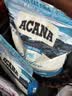 愛肯拿（ACANA）猫粮 海洋盛宴成猫幼猫粮 全价美毛无谷进口鱼肉粮5.4kg效期27/5 实拍图