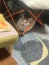 凯锐思猫条猫零食 猫条鱼肉条0添加0诱食剂湿粮混合口味猫咪零食 【鱼油爆珠】美毛助消化50支 实拍图