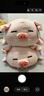 名创优品（MINISO）小猪B-BO弹力超柔趴姿公仔毛绒玩偶儿童玩具抱枕靠枕生日礼物女 实拍图