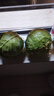 山东新鲜甘蓝包菜卷心菜圆白菜新鲜嫩绿莲花白现摘现发早餐减脂 新鲜包菜 4.6斤净重 人工挑拣 实拍图