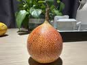 三诺优佳血糖仪试纸 家用医用测血糖脱氢酶技术 无仪器+200支试纸 实拍图