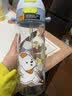 babycare儿童水杯大容量运动吸管杯外出方便携带塑料喝水杯男女生上学水壶 【PPSU-可背可拎】柔雾蓝 500ml 实拍图