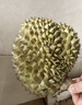 京鲜生 进口金枕头鲜榴莲 净重5-6斤 1个装 生鲜 新鲜水果 新鲜榴莲 实拍图