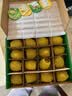 佳沛（zespri）新西兰阳光金奇异果16粒礼盒经典果单果 88-103g  猕猴桃水果礼盒 实拍图
