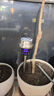 KOOGIS太阳能灭蚊灯户外庭院防基孔肯雅热室灭驱蚊子苍蝇神器水家商用 实拍图