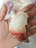 Clearwater北极清水加拿大去边去内脏北极贝刺身切片100g解冻即食海鲜 实拍图