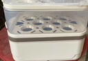 志高（CHIGO）煮蛋器蒸蛋器 电蒸锅双层多功能早餐蒸煮一体机小型1-2人 鸡蛋羹神器高温自动断电204 实拍图