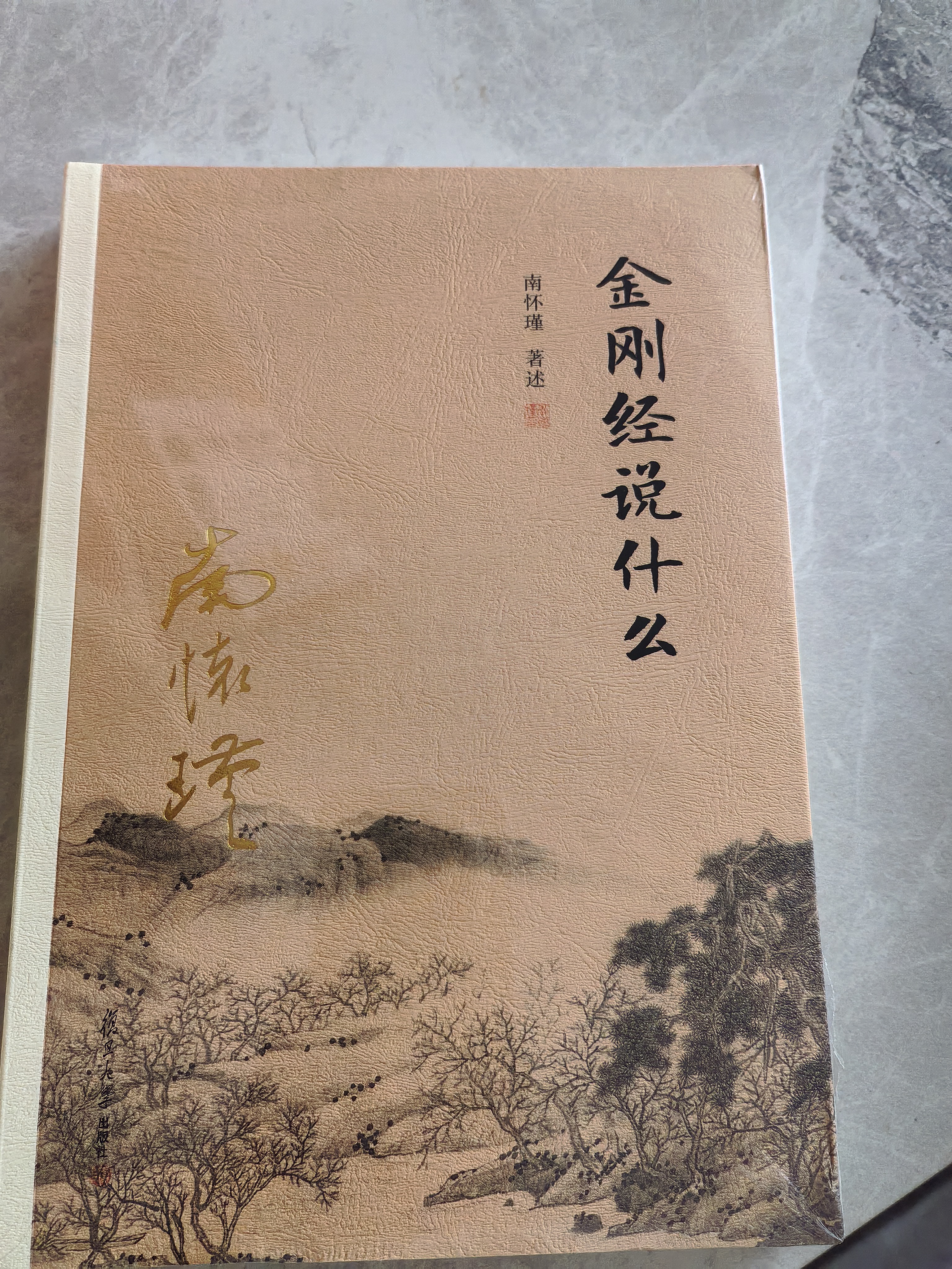 南怀瑾作品集（新版）：金刚经说什么 实拍图