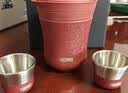 膳魔师（THERMOS）茶旅套装旅行茶具户外露营便携保温茶壶茶杯生日女神节礼物TCMU 【冰花漆304不锈钢】砖红 实拍图