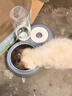 甜浪海猫碗双碗自动喂食器不锈钢狗盆幼猫吃饭喝水防打翻饮水机宠物食盆 实拍图