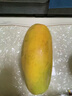 京鲜生 海南红心木瓜 2粒装 单果约450g-500g 生鲜水果 实拍图