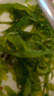 盛源来2连包海藻沙拉440g 日式海草沙律裙带菜丝海带丝即食下饭菜寿司 实拍图