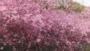 佼佼者（JIAOJIAOZHE）LED灯泡玉米灯家用e27螺纹螺口节能灯白光6000K20W照明吊灯光源  实拍图