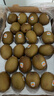 佳沛（zespri）新西兰阳光金奇异果巨大果22粒原箱单果146-175g 猕猴桃水果礼盒 实拍图